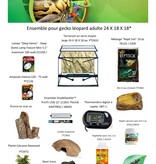 Magazoo Adult Leopard gecko kit 24 X 18 X 18