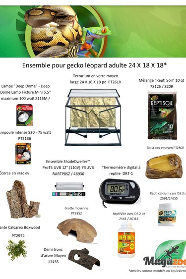 Magazoo Adult Leopard gecko kit 24 X 18 X 18