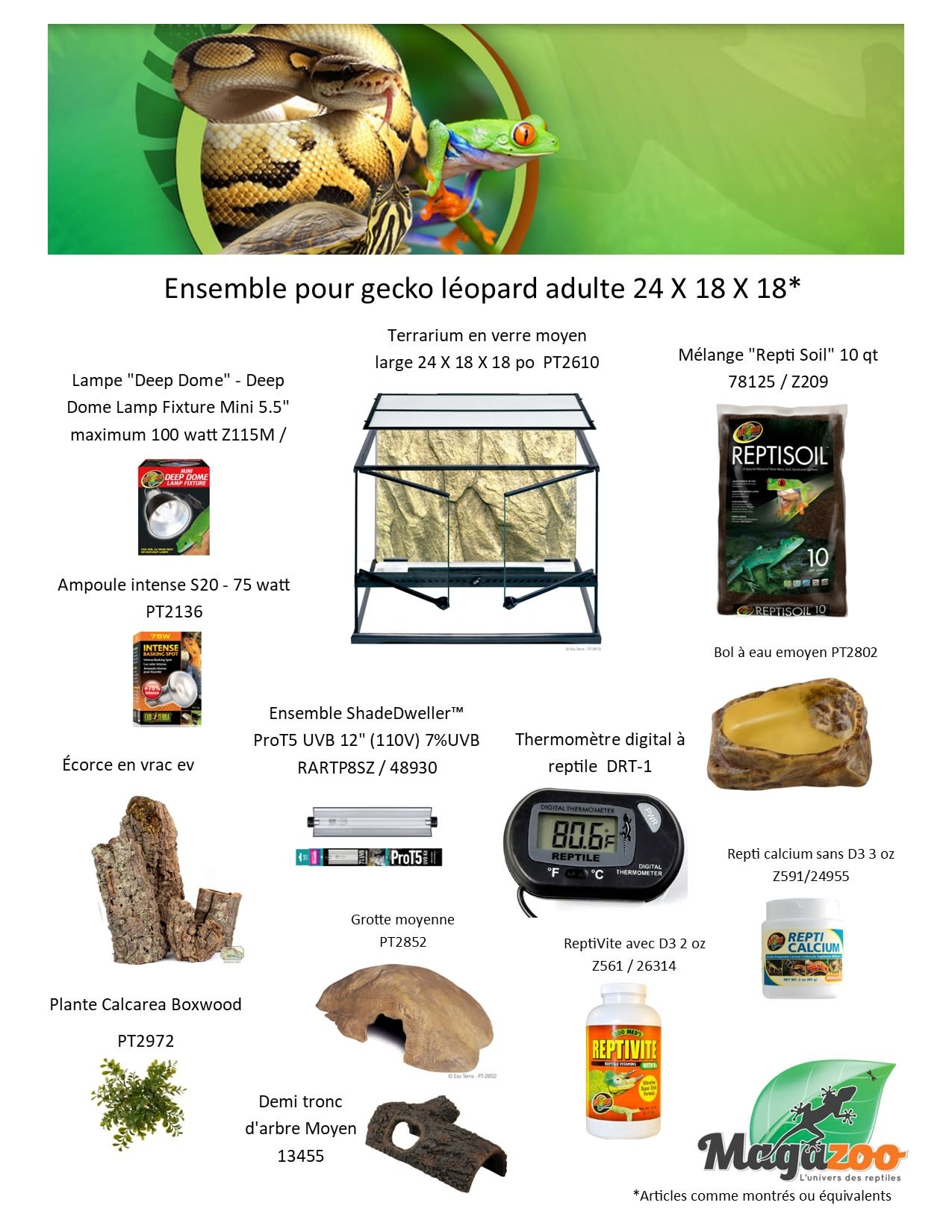 Magazoo Ensemble pour gecko léopard adulte 24 X 18 X 18
