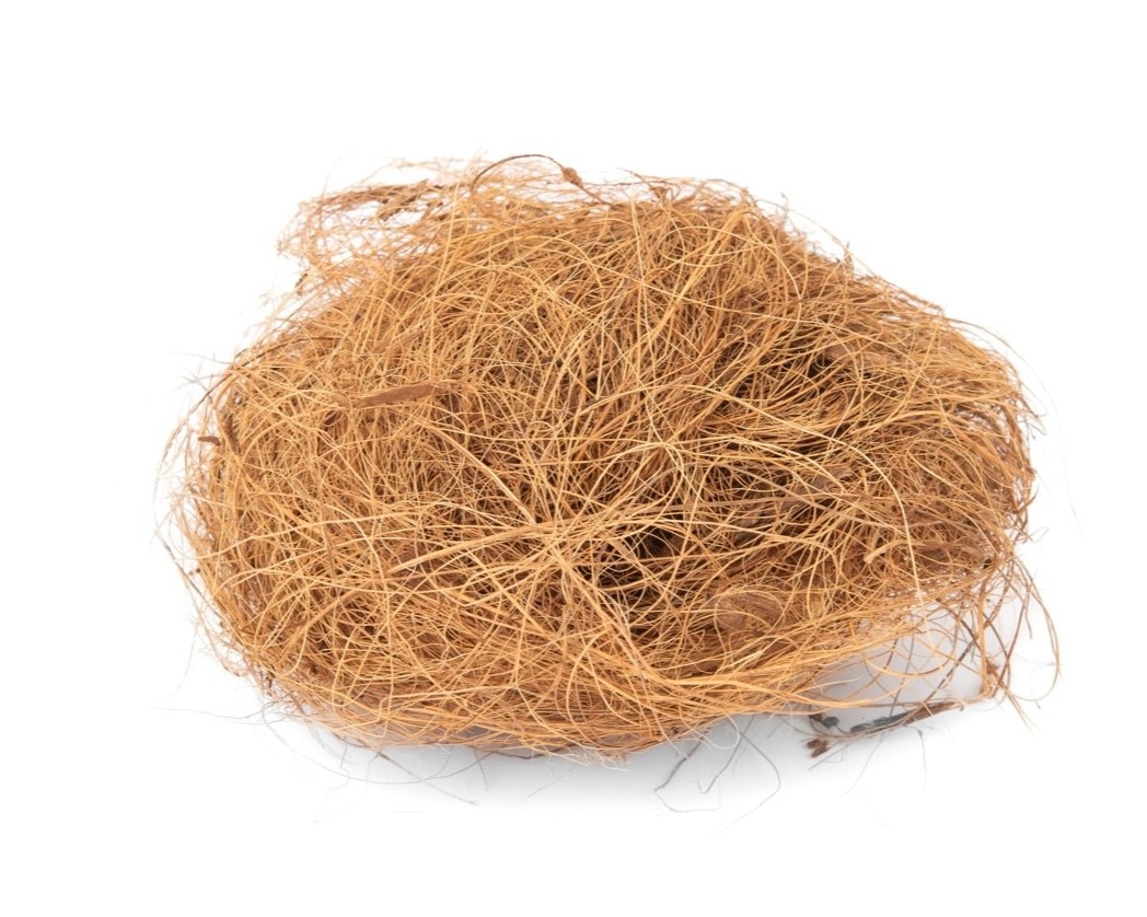 Rep-cal REP-CAL NC-CCH1 Cheveux de coco 1 oz