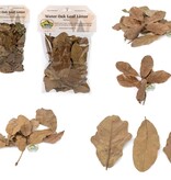 NewCal Pets NEWCAL Feuilles de Chêne d'eau (séché)