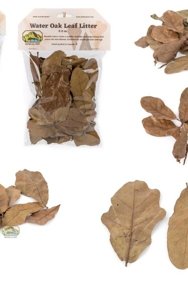 NewCal Pets NEWCAL Feuilles de Chêne d'eau (séché)