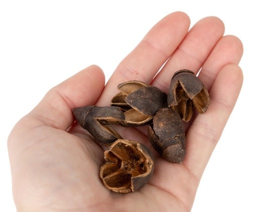 NewCal Pets NEWCAL NC-BP1 Gousses de Bakuli 1 oz