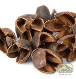 NewCal Pets NEWCAL NC-BP1 Gousses de Bakuli 1 oz