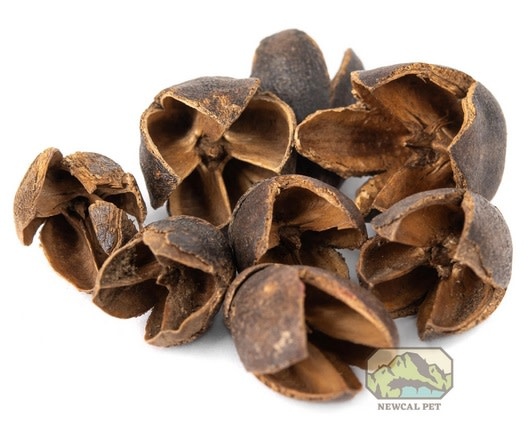 NewCal Pets NEWCAL NC-BP1 Gousses de Bakuli 1 oz