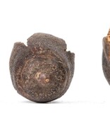 NewCal Pets Bakuli Pods 1 oz.