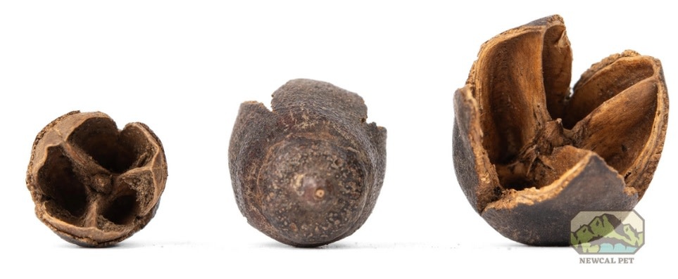 NewCal Pets Bakuli Pods 1 oz.