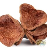 NewCal Pets Land Lotus Flower (3-Pack)