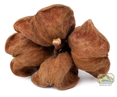 NewCal Pets Land Lotus Flower (3-Pack)