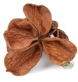 NewCal Pets Land Lotus Flower (3-Pack)