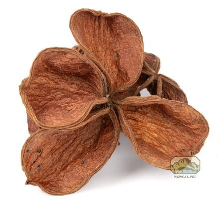 NewCal Pets Land Lotus Flower (3-Pack)