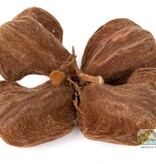 NewCal Pets Land Lotus Flower (3-Pack)