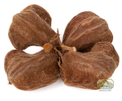 NewCal Pets Land Lotus Flower (3-Pack)