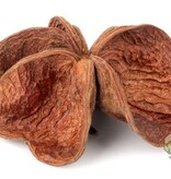 NewCal Pets Land Lotus Flower (3-Pack)