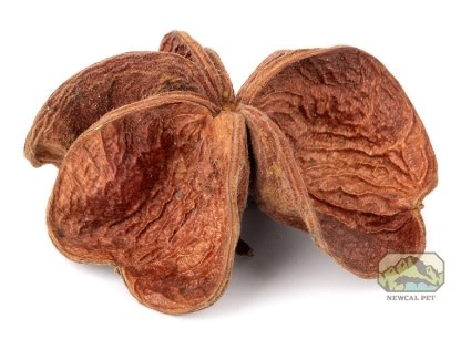 NewCal Pets Land Lotus Flower (3-Pack)