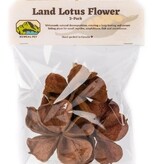 NewCal Pets Land Lotus Flower (3-Pack)