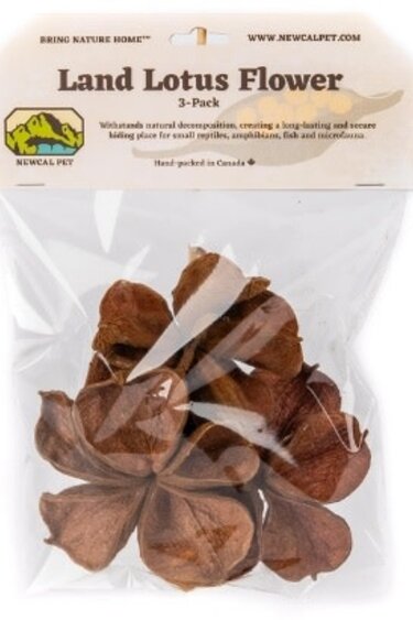 NewCal Pets Land Lotus Flower (3-Pack)