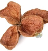 NewCal Pets Land Lotus Flower (3-Pack)