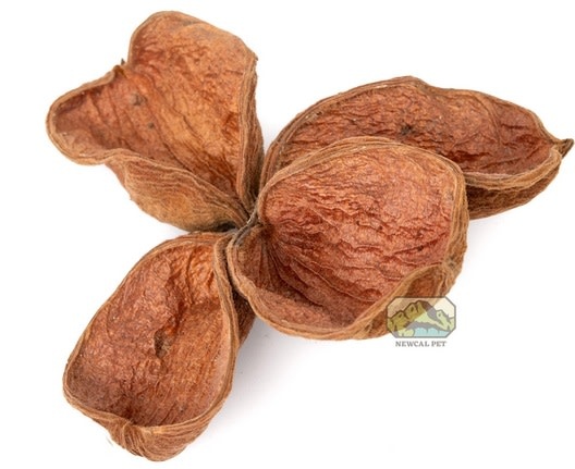 NewCal Pets Land Lotus Flower (3-Pack)