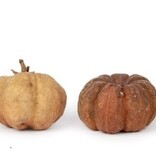 NewCal Pets Mini Pumpkin Pods 1 oz.