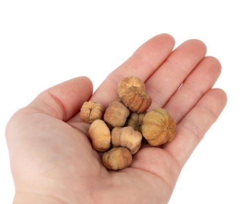 NewCal Pets Mini Pumpkin Pods 1 oz.