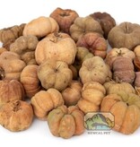 NewCal Pets Mini Pumpkin Pods 1 oz.