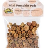 NewCal Pets Mini Pumpkin Pods 1 oz.