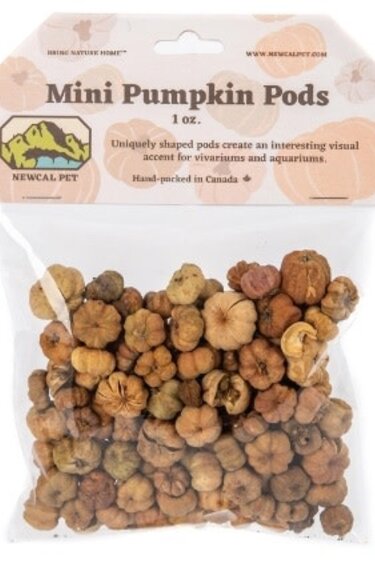NewCal Pets NEWCAL NC-MPP1 Mini gousses de citrouille 1 oz.