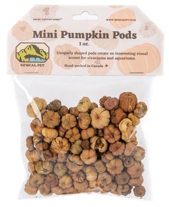 NewCal Pets Mini Pumpkin Pods 1 oz.