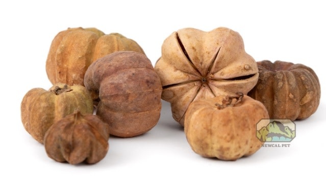 NewCal Pets Mini Pumpkin Pods 1 oz.
