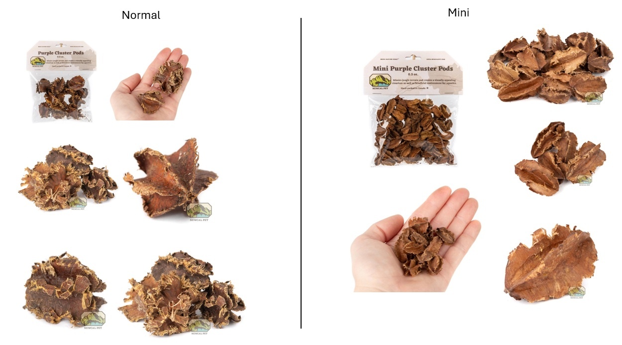 NewCal Pets NEWCAL Grappe de gousses violettes 0.5 oz