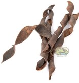 NewCal Pets Twisted Spring 1 oz