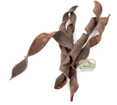 NewCal Pets NEWCAL NC-TS1 Ressort torsadé 1 oz