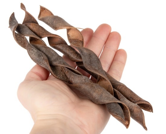 NewCal Pets NEWCAL NC-TS1 Ressort torsadé 1 oz