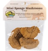 NewCal Pets Mini Sponge Mushrooms (3-Pack)