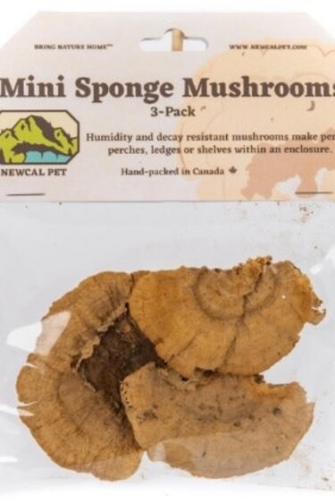 NewCal Pets Mini Sponge Mushrooms (3-Pack)