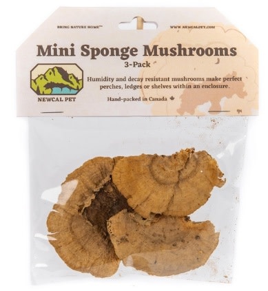 NewCal Pets Mini Sponge Mushrooms (3-Pack)