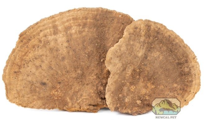 NewCal Pets Mini Sponge Mushrooms (3-Pack)