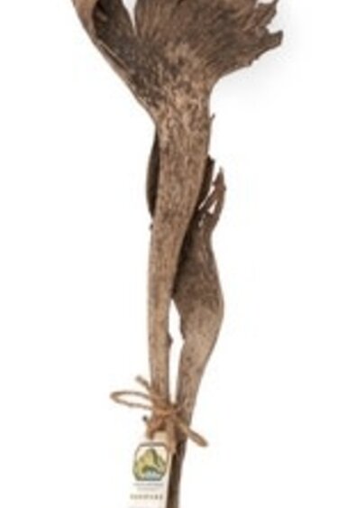 NewCal Pets Natraj Wood 24"+