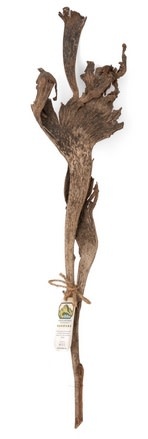 NewCal Pets Natraj Wood 24"+