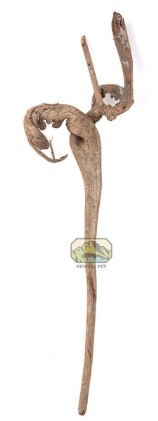 NewCal Pets NEWCAL NC-NW1 Bois Natraj 24"+