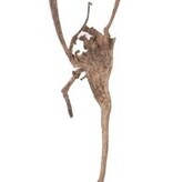 NewCal Pets Natraj Wood 24"+