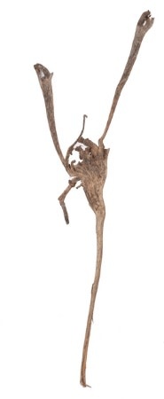 NewCal Pets Natraj Wood 24"+