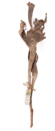 NewCal Pets Natraj Wood 24"+