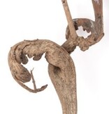 NewCal Pets Natraj Wood 24"+