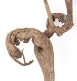 NewCal Pets NEWCAL NC-NW1 Bois Natraj 24"+