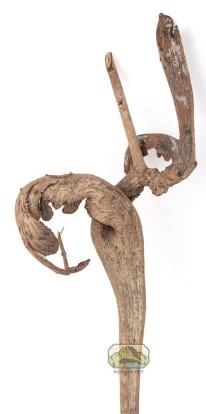 NewCal Pets Natraj Wood 24"+