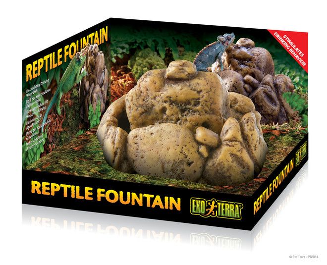 Piscine/bac à Eau Pour Tortues Et Reptiles - 35,5x32x7 Cm, Avec Rampe D'accès Et Système De Drainage