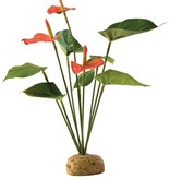 Exoterra  Anthurium Bush