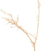 NewCal Pets NEWCAL NC-NVW1 Bois nerveux 14" - 18"